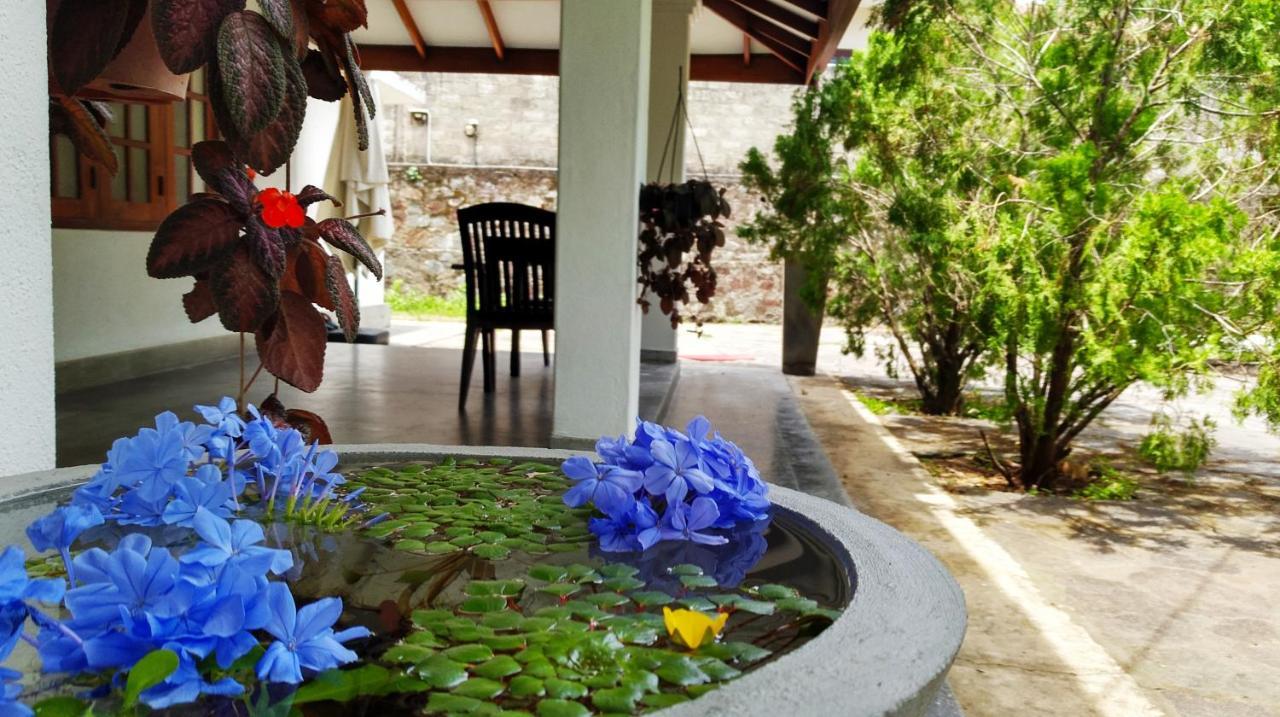 Mina Villa Хиккадува Экстерьер фото